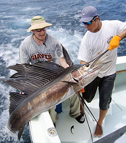 Sportfishing, Quepos